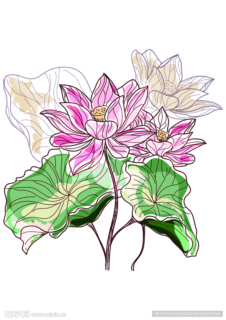花卉