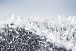 雪花冬天摄影
