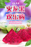 火龙果海报