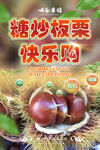板栗海报