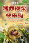 板栗海报