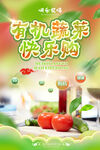 有机蔬菜海报