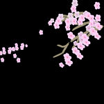 梅花桃花PNG