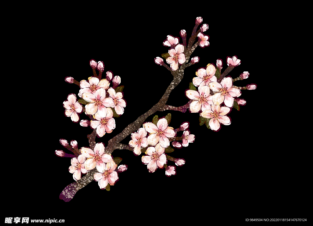 梅花桃花PNG 