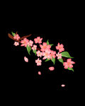 梅花桃花PNG