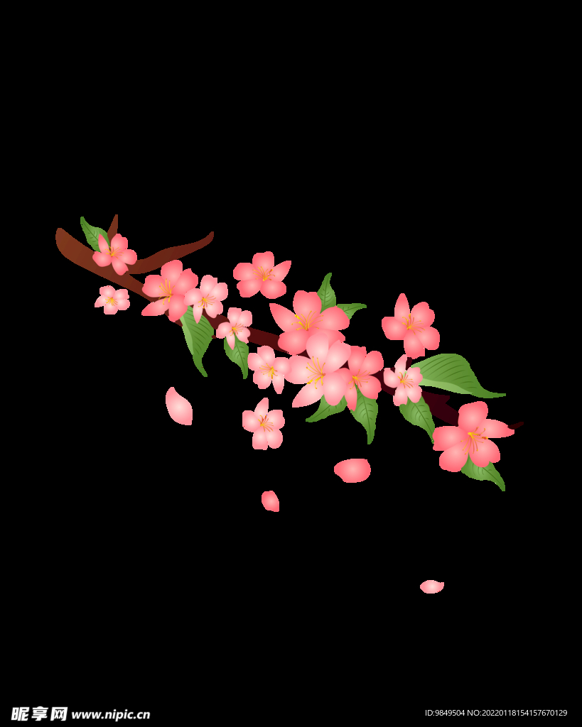 梅花桃花PNG