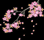 梅花桃花PNG 