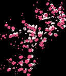 梅花桃花PNG 