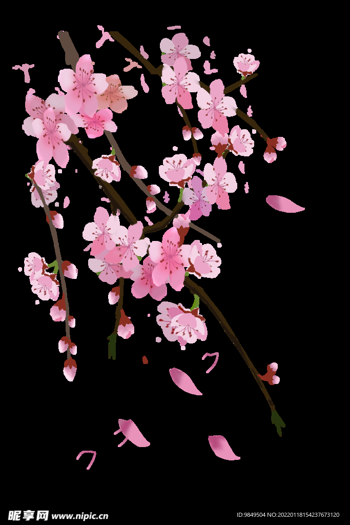 梅花桃花PNG