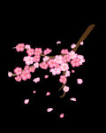 梅花桃花PNG