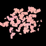 梅花桃花PNG 