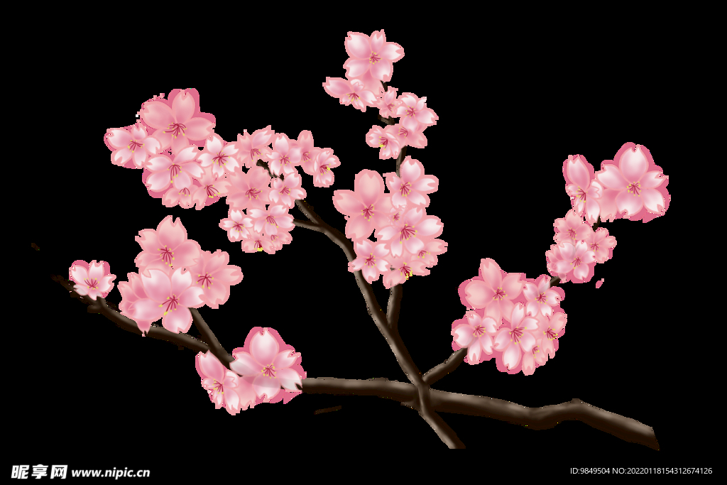 梅花桃花PNG 