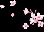 梅花桃花PNG 