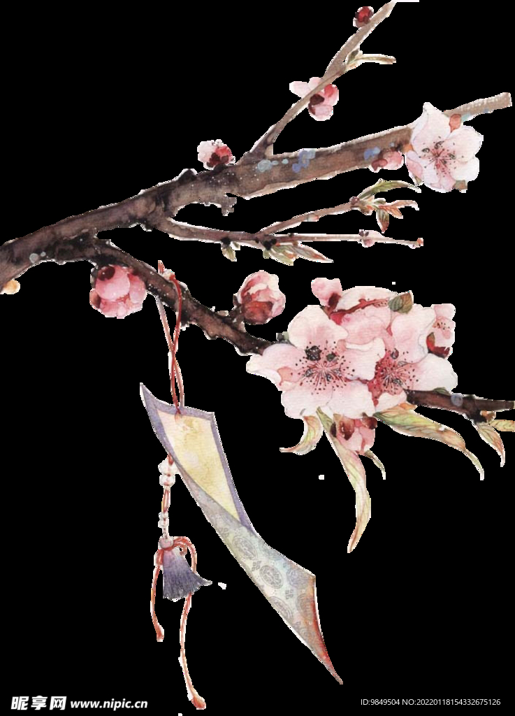梅花桃花PNG