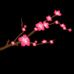 梅花桃花PNG 