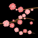 梅花桃花PNG 