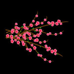 梅花桃花PNG 