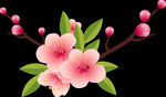 梅花桃花PNG 