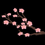 梅花桃花PNG