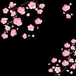 梅花桃花PNG
