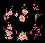 梅花桃花PNG 