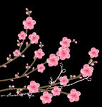 梅花桃花PNG