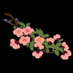 梅花桃花PNG 
