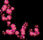 梅花桃花PNG 