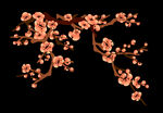 梅花桃花PNG 