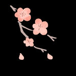 梅花桃花PNG