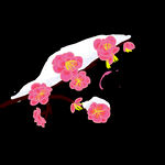 梅花桃花PNG 