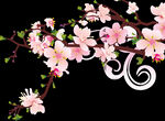 梅花桃花PNG 