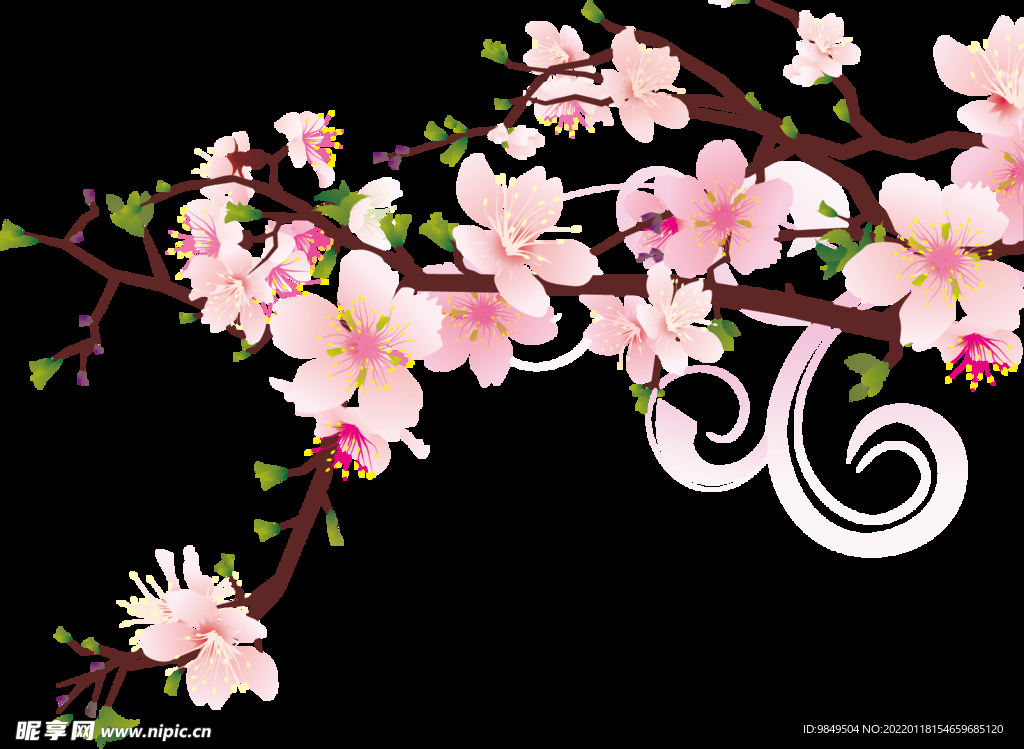 梅花桃花PNG 
