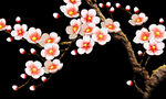 梅花桃花PNG 