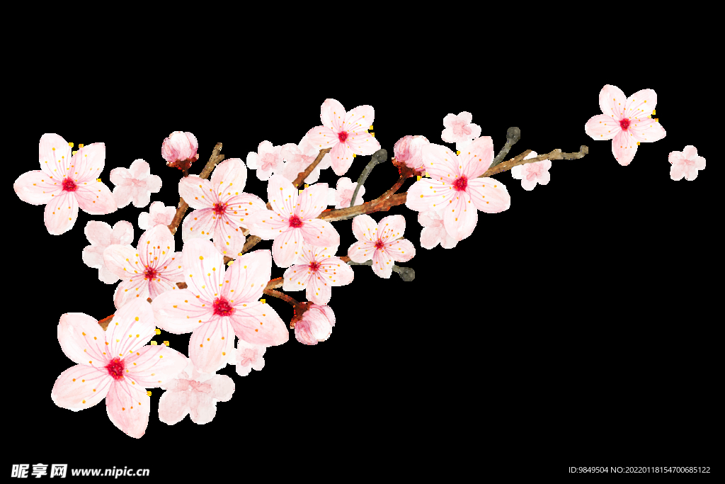 梅花桃花PNG 