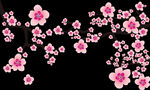 梅花桃花PNG 