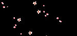 梅花桃花PNG