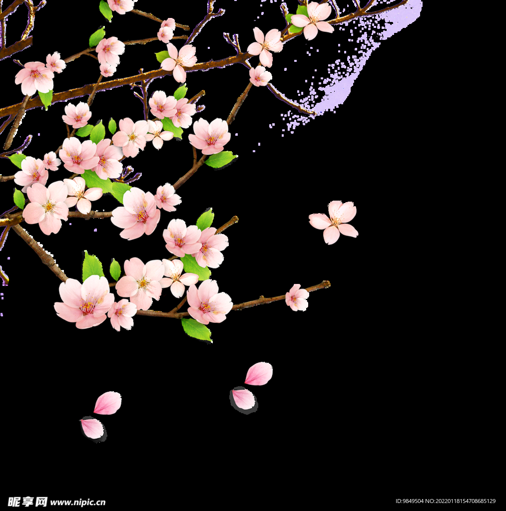梅花桃花PNG 