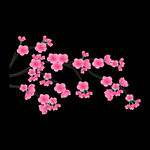 梅花桃花PNG 
