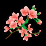 梅花桃花PNG 