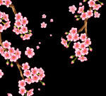 梅花桃花PNG 
