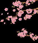 梅花桃花PNG