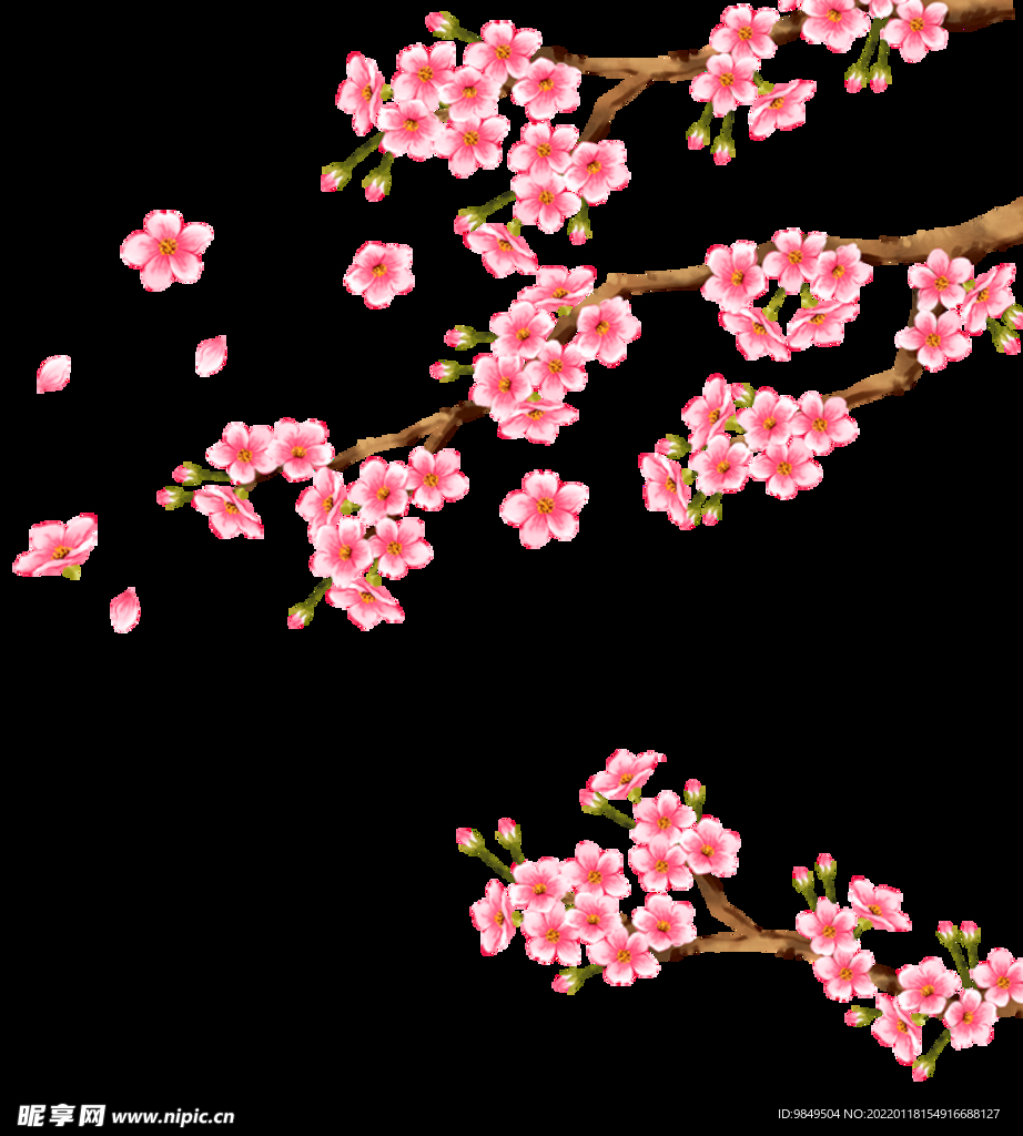 梅花桃花PNG