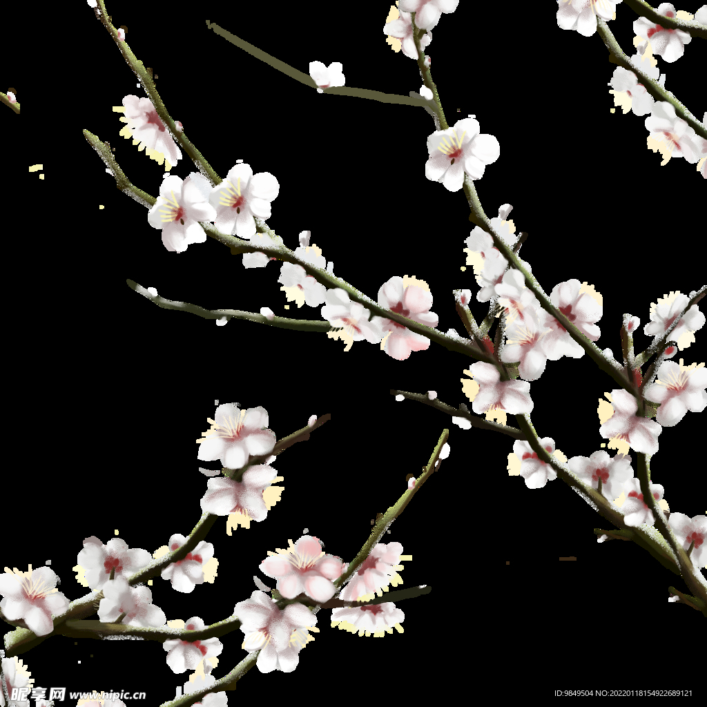 梅花桃花PNG