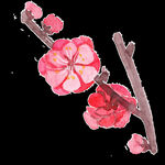 梅花桃花PNG