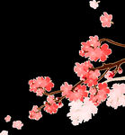 梅花桃花PNG 