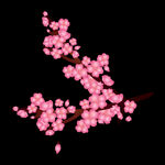 梅花桃花PNG