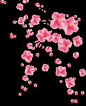 梅花桃花PNG 