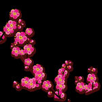 梅花桃花PNG