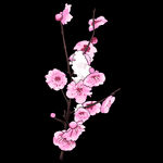 梅花桃花PNG